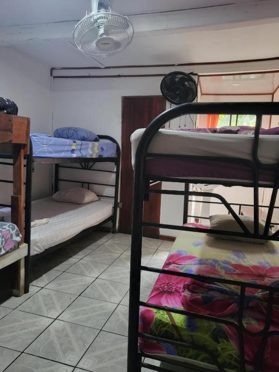Downtown Montezuma Hostel Экстерьер фото